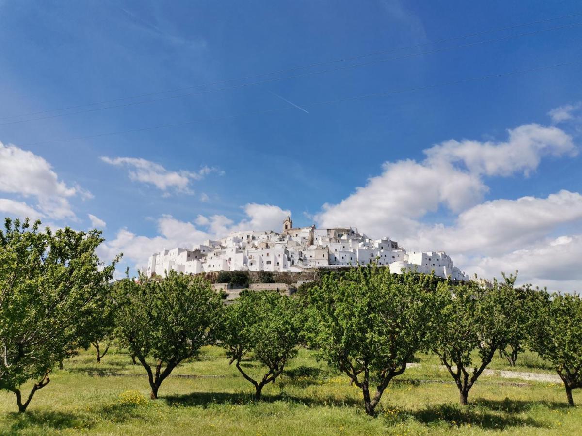 Casa Dei Levantini, Sea View, Wonderful Terrace In Old Town Ostuni Extérieur photo